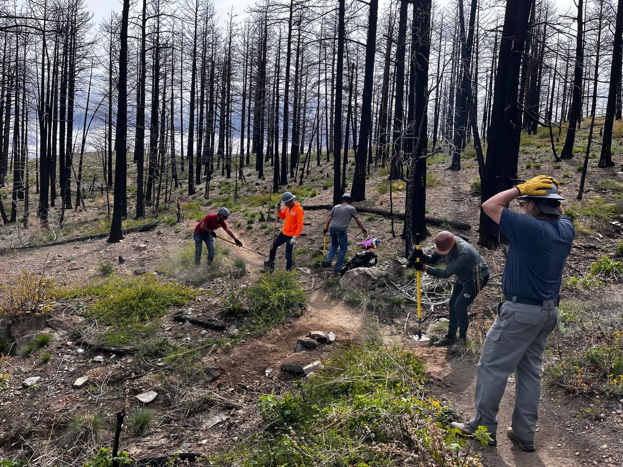 volunteers on the trail